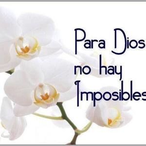 Meet your Posher, Gómez